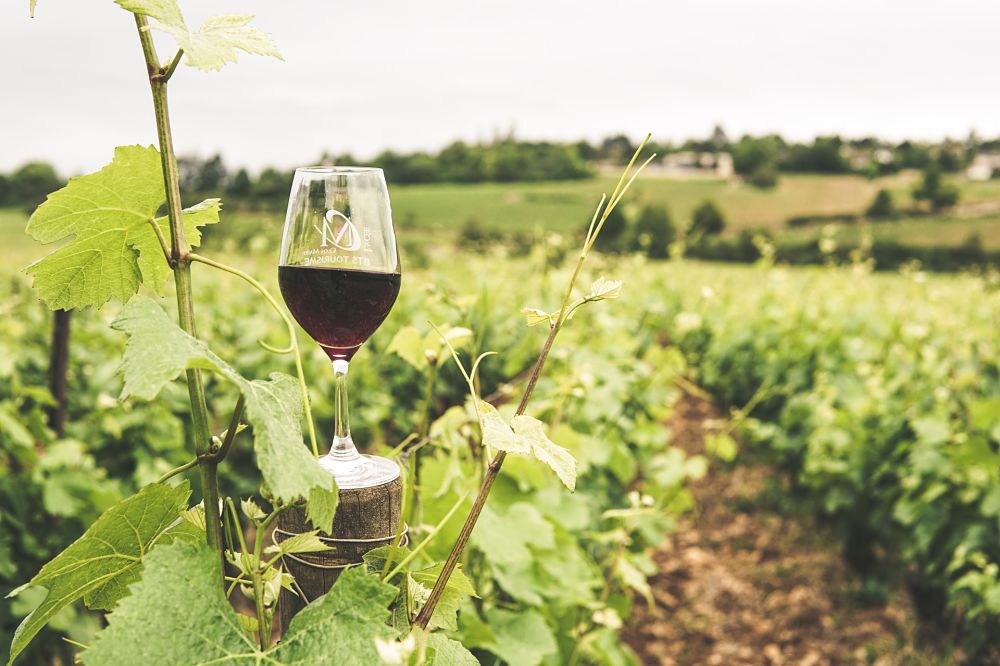 Bottle of French Wine