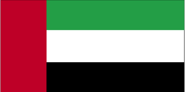 UAE flag